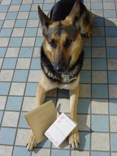 書き損じハガキを日本盲導犬協会に。２_d0110904_14552044.jpg
