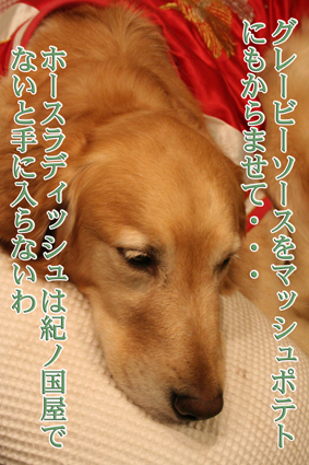 e0072606_2202582.jpg