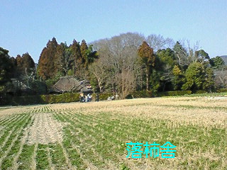 e0076814_2215539.jpg