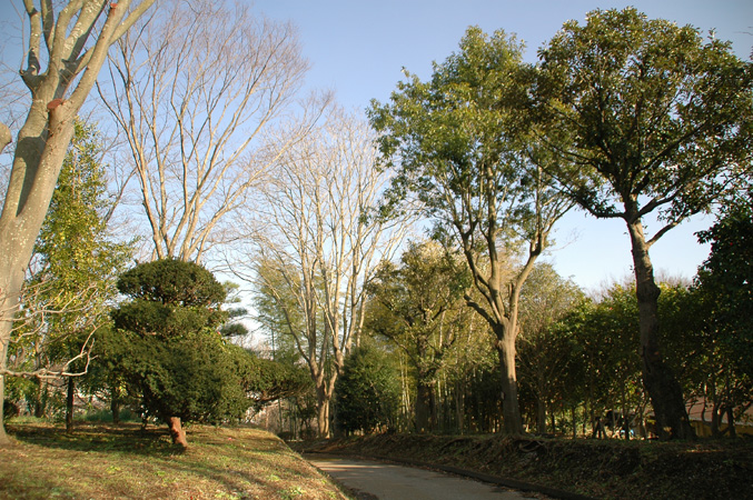 f0012718_1151782.jpg