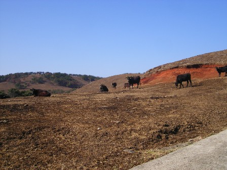 f0000330_20373547.jpg