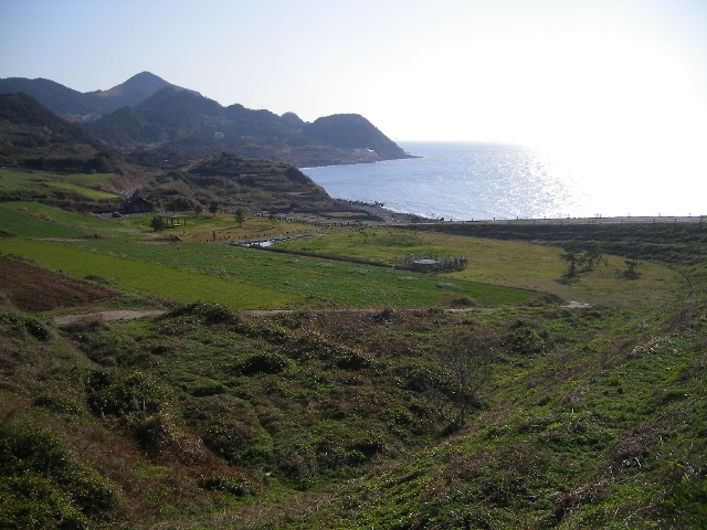 f0000330_20404953.jpg