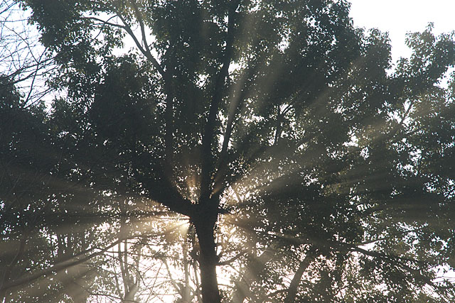 c0067040_22431387.jpg