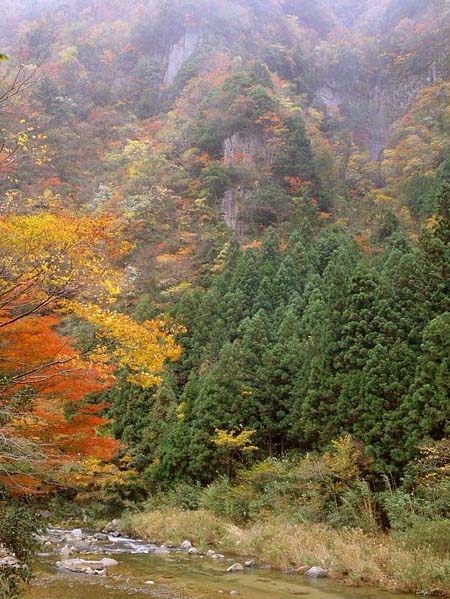 香落渓 紅葉 魅せられて大和路 香落渓 紅葉 魅せられて大和路