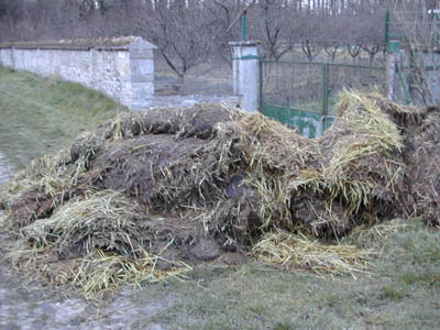 b0069848_77186.jpg