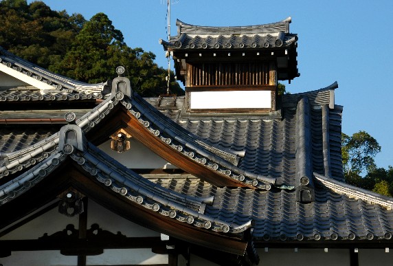 　　根 来 寺　　_b0093754_061832.jpg