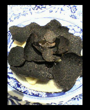西麻布_c0009877_7245257.jpg
