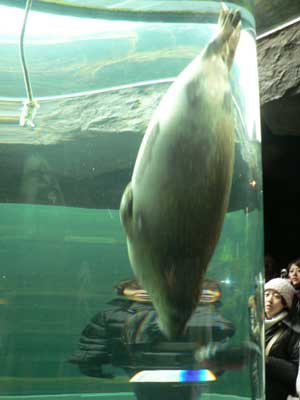 f0083977_022557.jpg