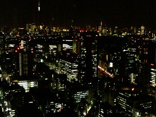 東京の夜・・・・・・景_d0025894_0325024.jpg