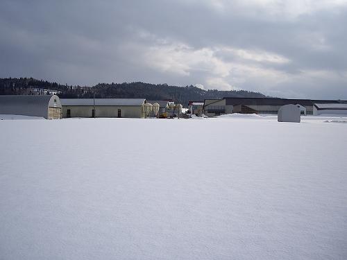 f0121909_2122462.jpg