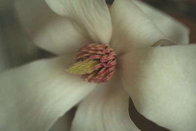 c0104227_0572811.jpg