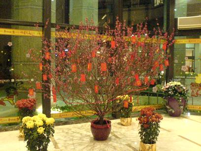 d0023835_04999.jpg