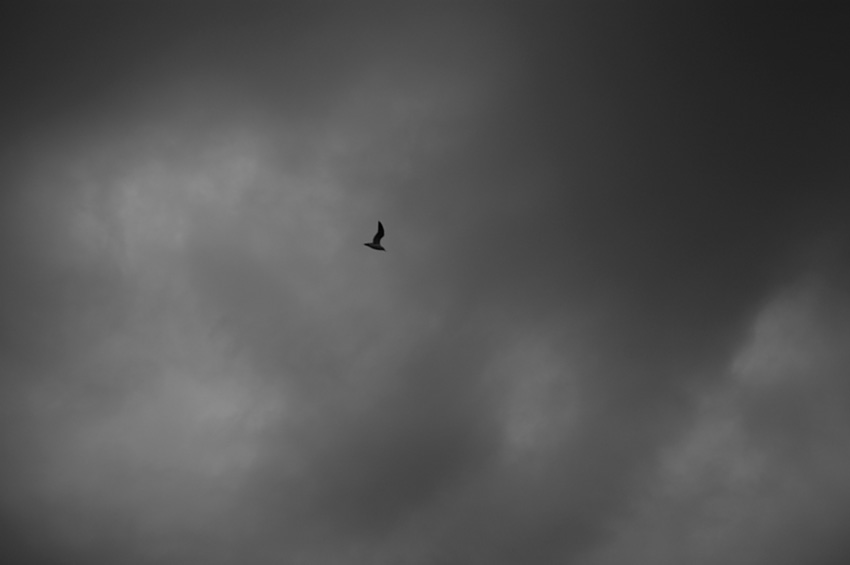 e0006135_23371130.jpg