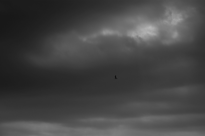 e0006135_23442118.jpg