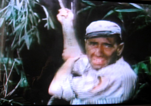 【アフリカの女王(The African Queen)】_b0009849_15502125.jpg
