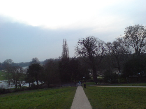 e0099756_1711433.jpg