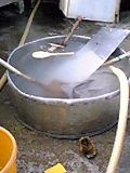 d0007957_23131155.jpg