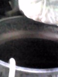 d0007957_23153160.jpg
