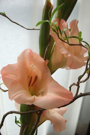e0045768_2111441.jpg