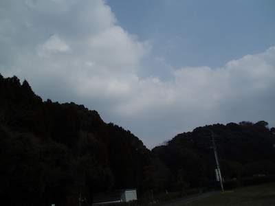 花粉症_a0077071_823161.jpg