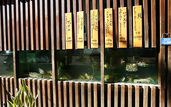 f0008871_22270.jpg