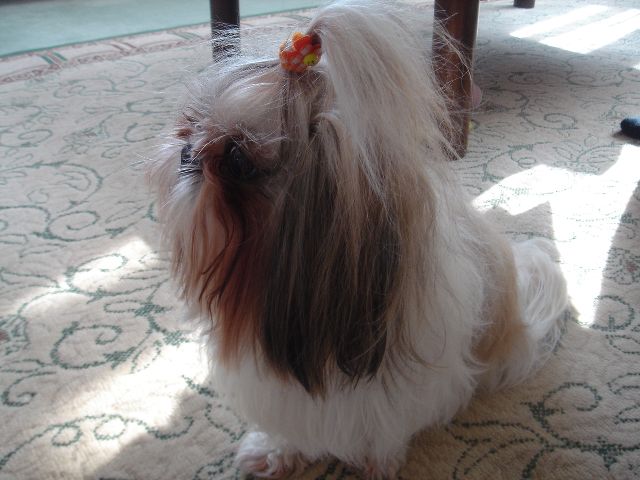 c0090198_1032761.jpg