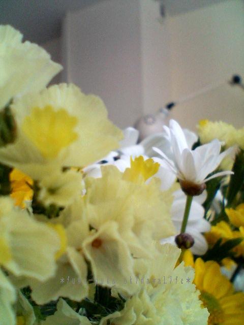 a0082706_1043637.jpg
