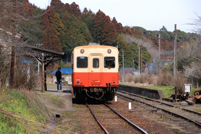 Local Train_b0109815_20162199.jpg