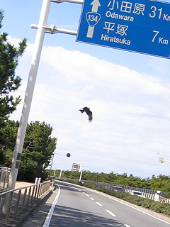 ツーリング「三浦半島〜箱根」_e0089826_9531738.jpg