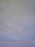 d0007957_22424110.jpg