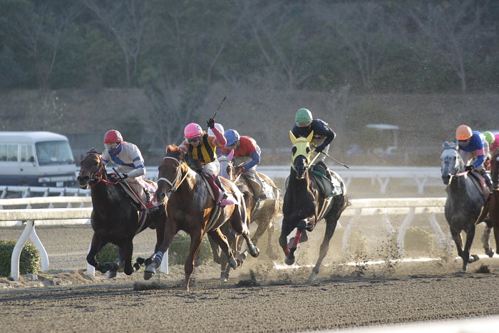 2007年2月24日（土） 高知競馬 11R うっちー高知参上特別 後半_a0077663_9481120.jpg