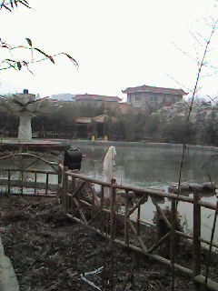 _f0072976_13254821.jpg