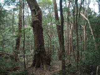 龍良山登山_b0046478_16163868.jpg