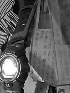 f0100480_1093051.jpg