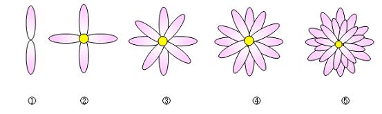 イラストプチレッスン 5 花の描き方 大きなおせ技