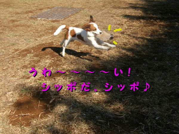 c0075585_22282451.jpg