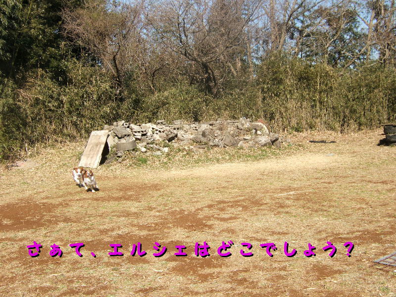 c0075585_2229597.jpg