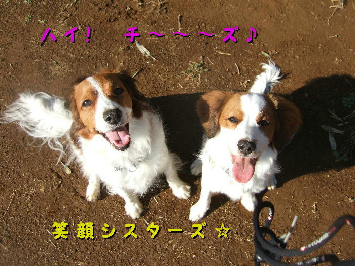 c0075585_22323435.jpg