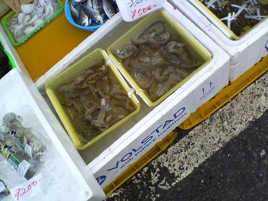 c0046587_1327409.jpg