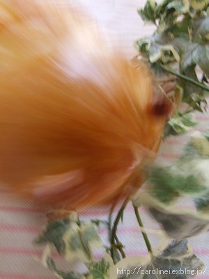 「芋たこなんきん」をパンにしたら_d0025294_10534138.jpg