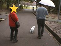 梅見@堺の荒山公園_d0035397_1202938.jpg