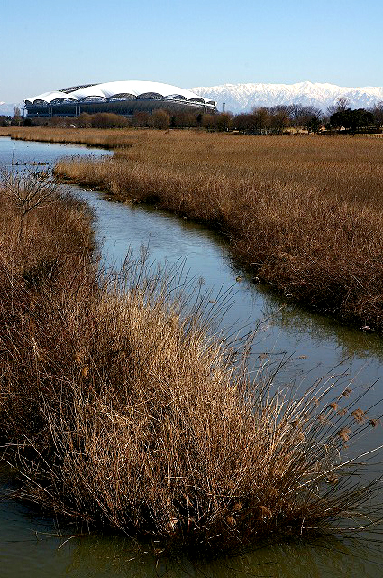 春色鳥屋野潟_c0082800_20222424.jpg