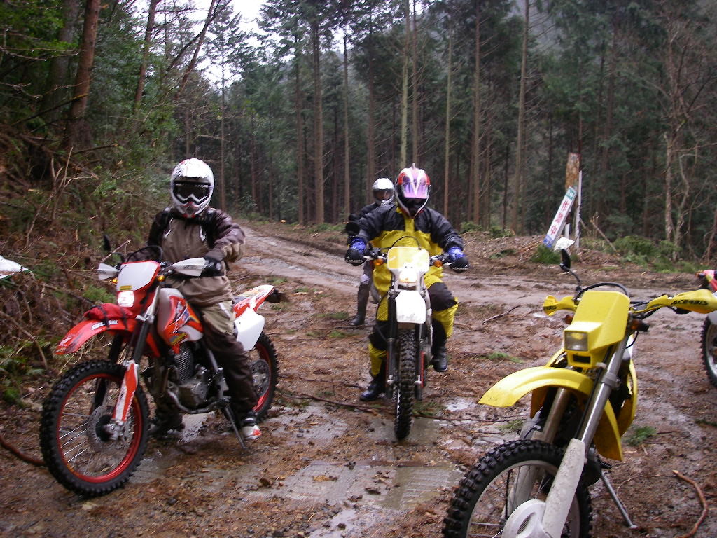 f0115410_200044.jpg