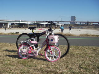 ちいちゃな自転車で33キロ走破・・・_a0050728_14203432.jpg