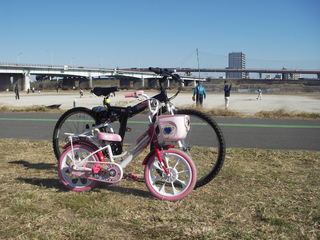 ちいちゃな自転車で３３キロ走破・・・_a0050728_14203432.jpg