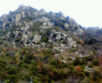 d0107133_804628.jpg