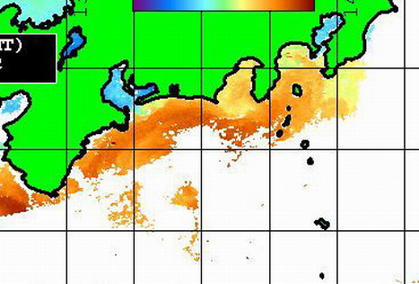 遠州灘に黒潮の反転流が入ってきました！！　[カジキ マグロ トローリング]_f0009039_2021545.jpg