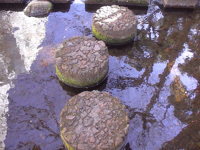川辺のカフェ。_e0060555_22245383.jpg