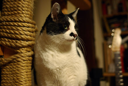b0087456_0365232.jpg