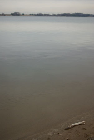 b0087456_105020.jpg